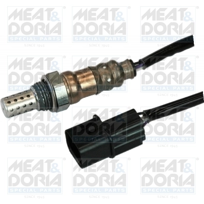 Oxygen Sensor